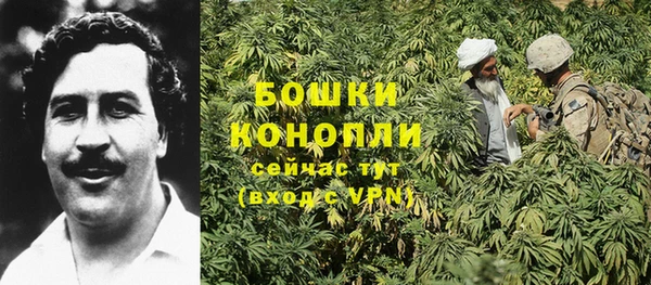 ГАЛЛЮЦИНОГЕННЫЕ ГРИБЫ Лихославль