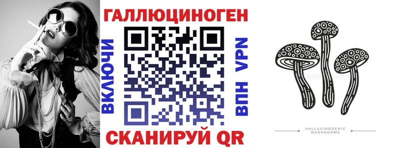Галлюциногенные грибы Psilocybe  Купить закладки  Можга 